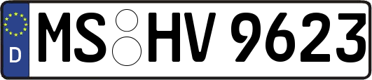 MS-HV9623
