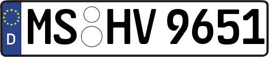 MS-HV9651