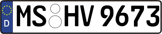 MS-HV9673