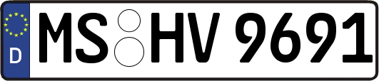 MS-HV9691