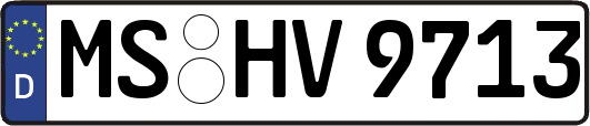 MS-HV9713