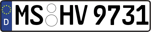 MS-HV9731
