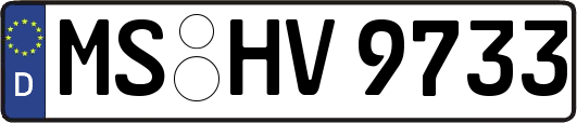 MS-HV9733