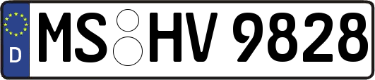 MS-HV9828