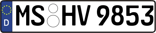 MS-HV9853