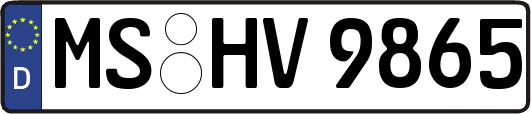 MS-HV9865