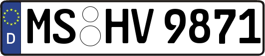 MS-HV9871