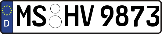 MS-HV9873