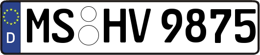 MS-HV9875