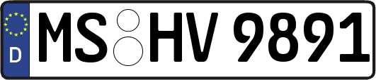 MS-HV9891