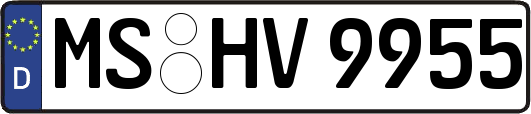 MS-HV9955