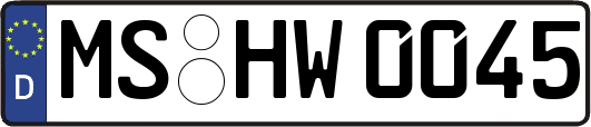 MS-HW0045