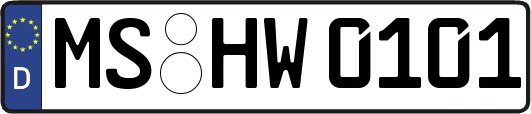 MS-HW0101