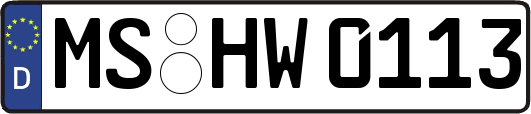 MS-HW0113
