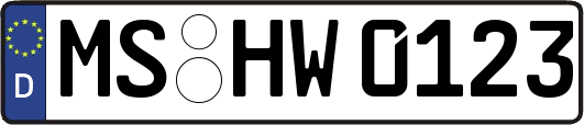 MS-HW0123