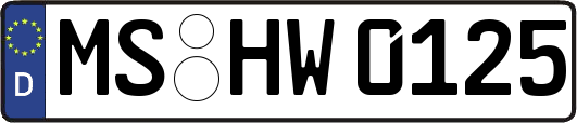 MS-HW0125