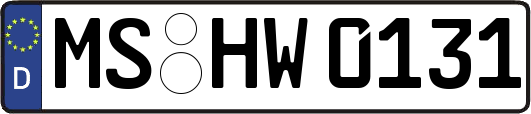 MS-HW0131