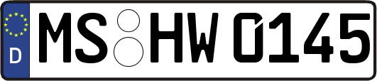MS-HW0145