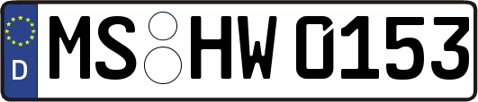 MS-HW0153
