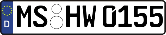 MS-HW0155