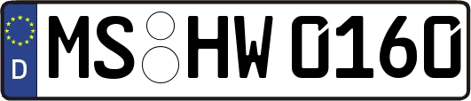 MS-HW0160