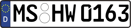 MS-HW0163
