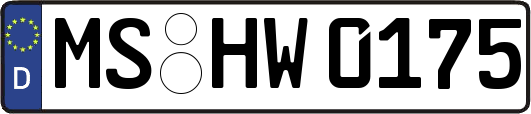 MS-HW0175