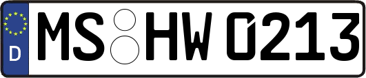 MS-HW0213