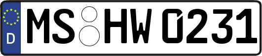 MS-HW0231