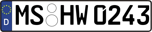 MS-HW0243