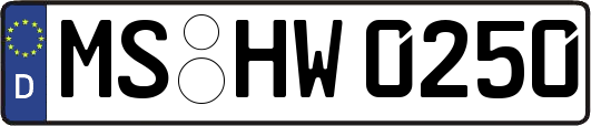 MS-HW0250