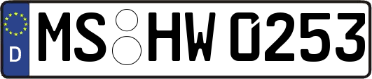 MS-HW0253