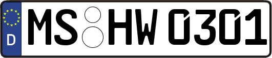 MS-HW0301