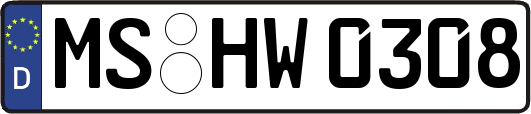 MS-HW0308