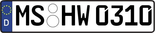 MS-HW0310