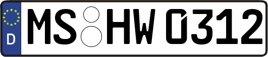 MS-HW0312