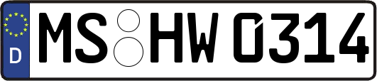MS-HW0314