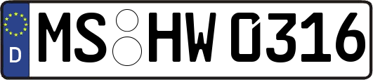 MS-HW0316