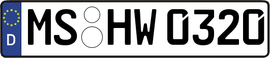 MS-HW0320