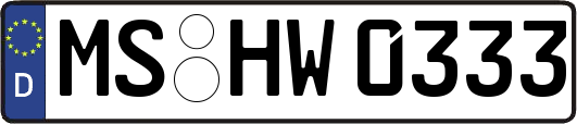 MS-HW0333