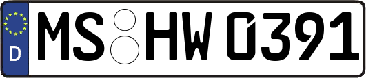 MS-HW0391