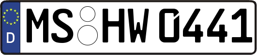 MS-HW0441