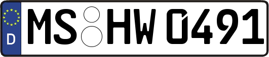 MS-HW0491