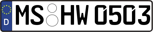MS-HW0503