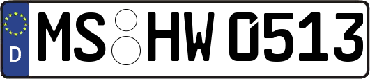 MS-HW0513
