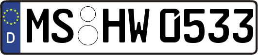 MS-HW0533