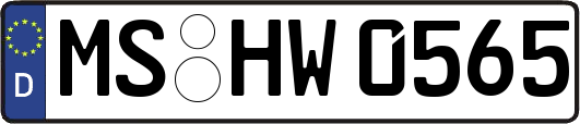 MS-HW0565