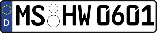MS-HW0601