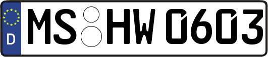 MS-HW0603