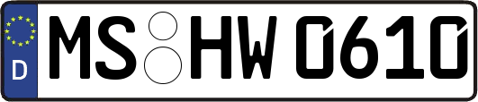 MS-HW0610